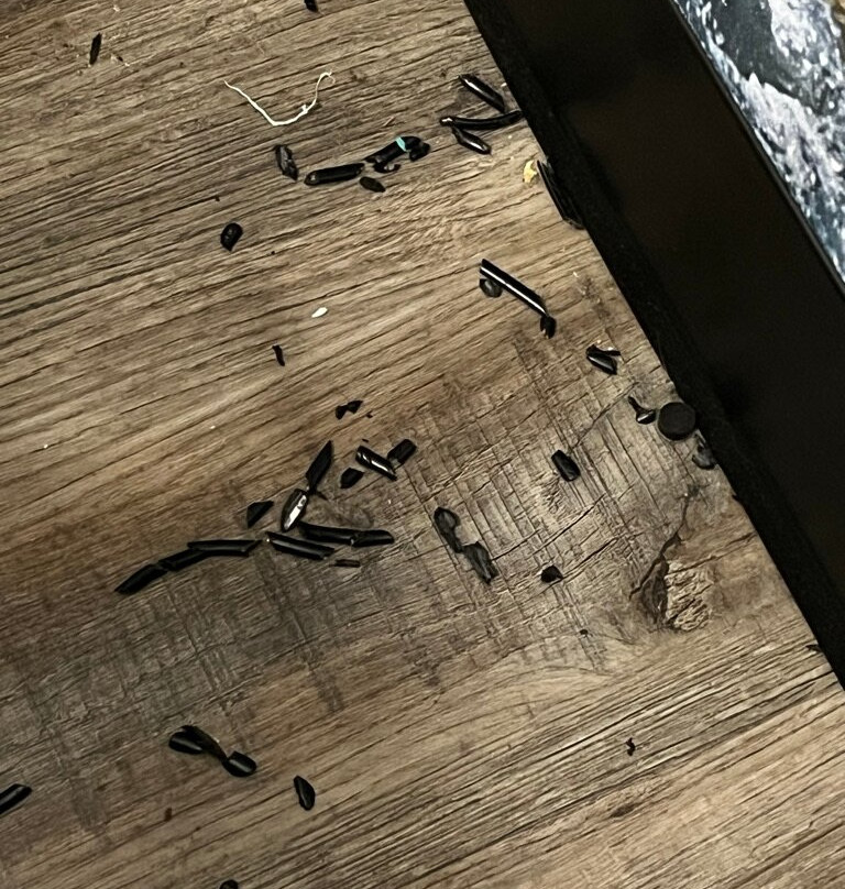 Clarion Pointe On The Lake Clarksville - South Hill West主图