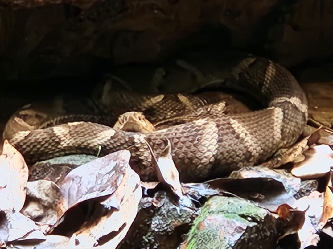 Cachoeira do Dragão-上帕拉伊苏迪戈亚斯必去景点