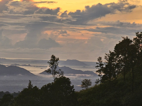 Merganser Holidays-科伦坡必去景点