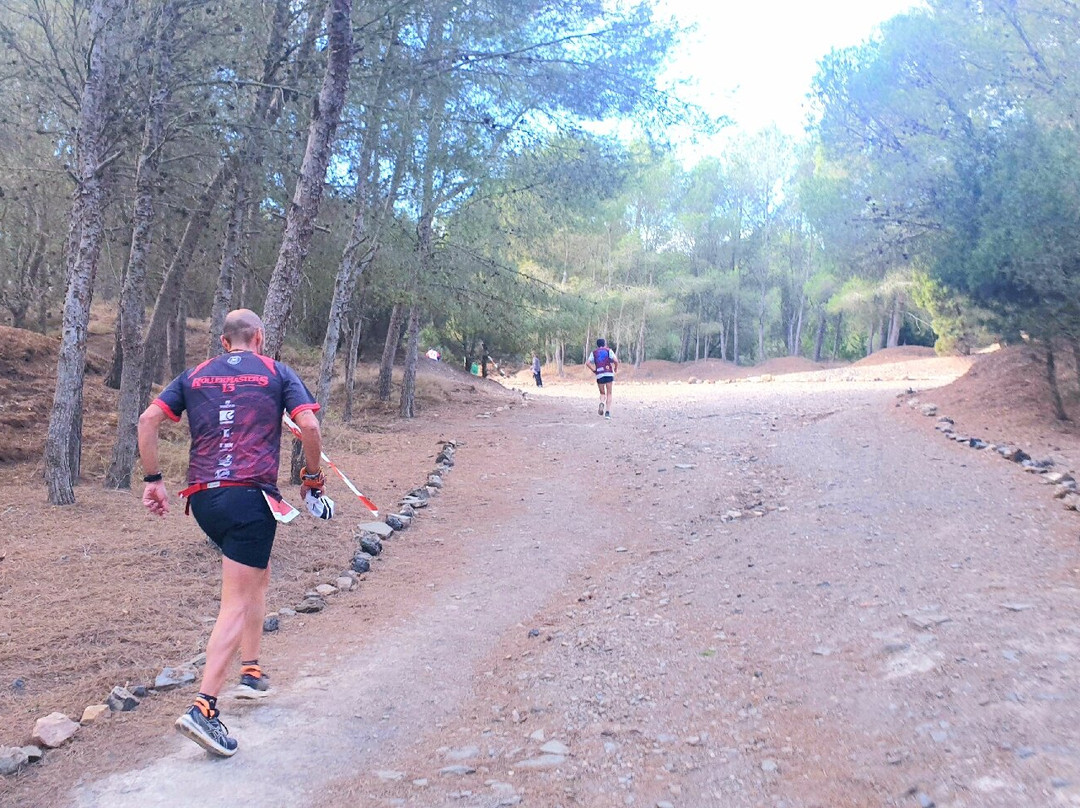 Carrera Alcalde De La Unión景点图片