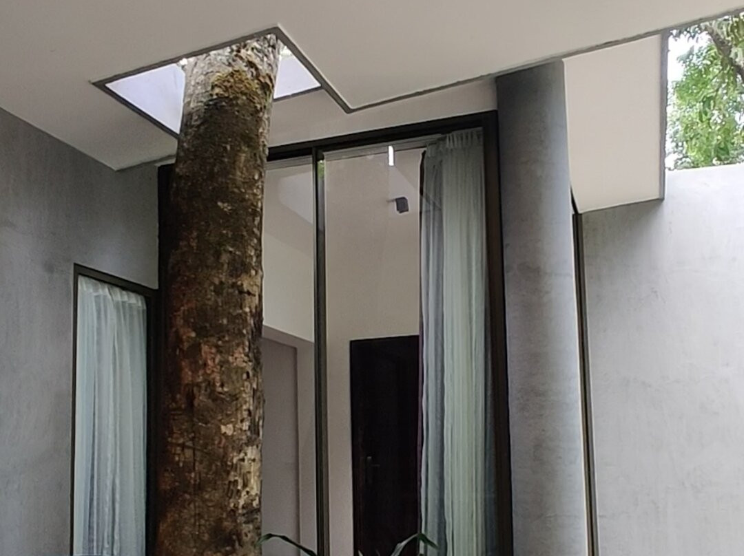 Java Rain Resorts主图