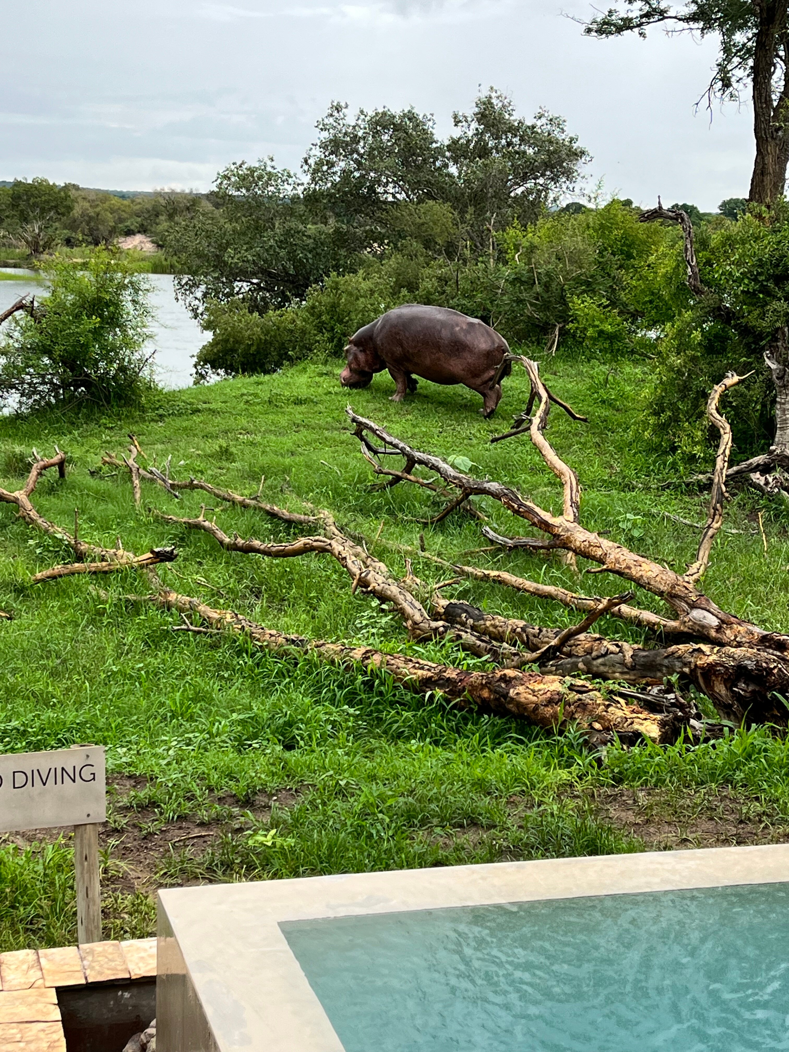 Matetsi Victoria Falls-酒店景观