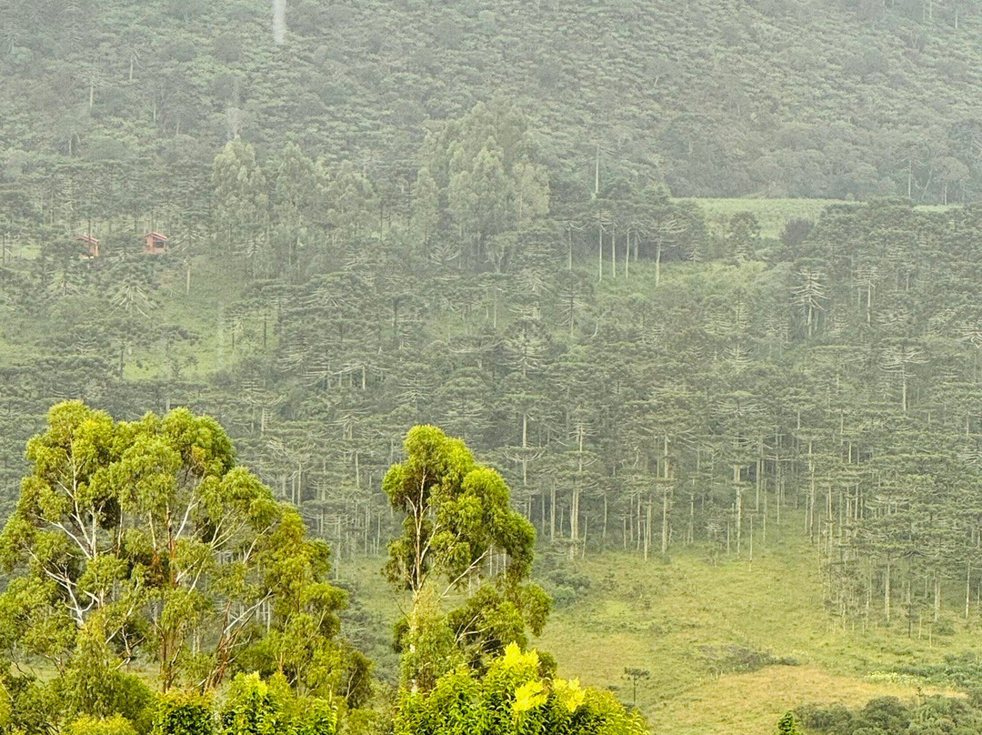 Hotel Fazenda Rota Dos Canions主图