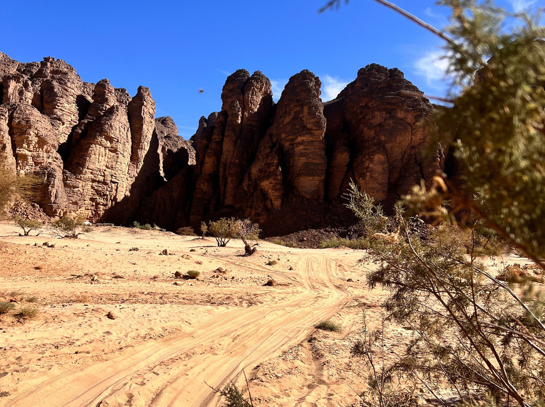 Dunes Travel Experience景点图片