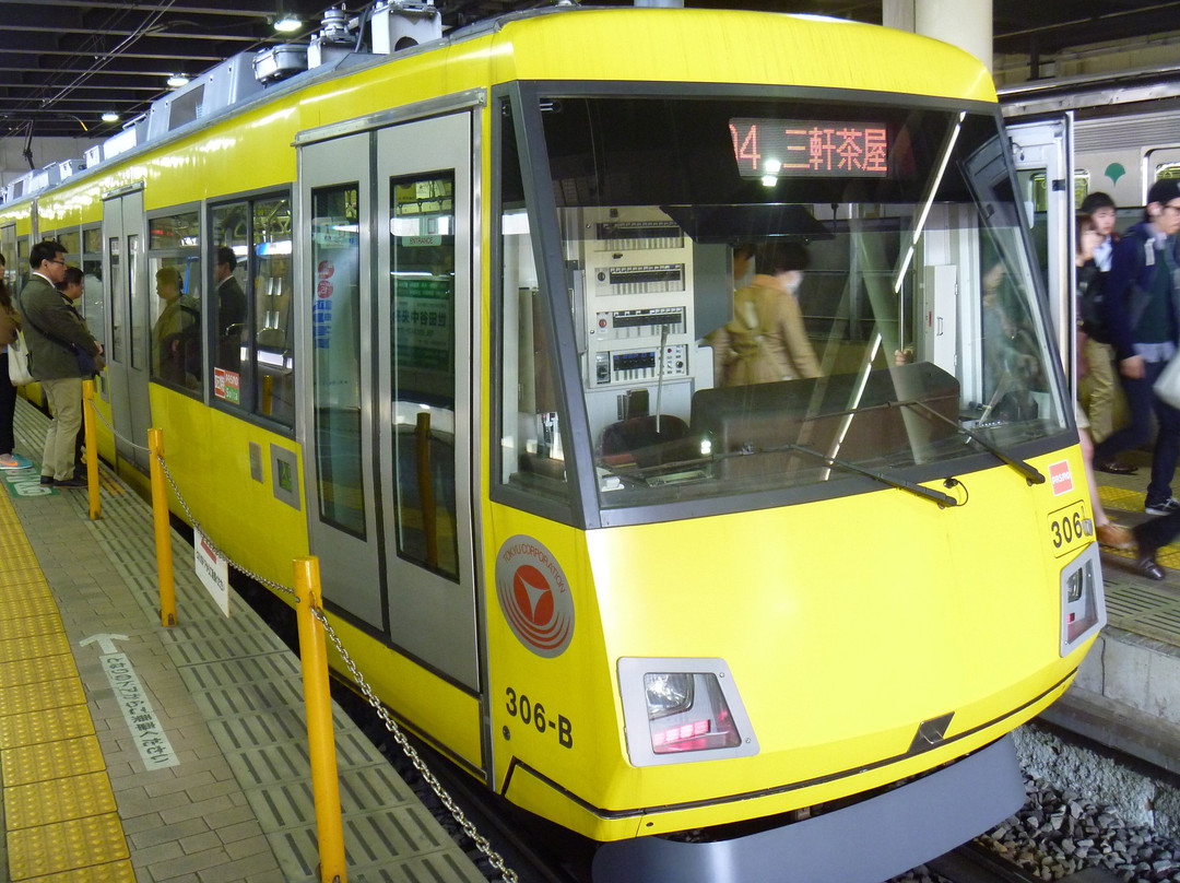 Tokyu Setagaya Line景点图片