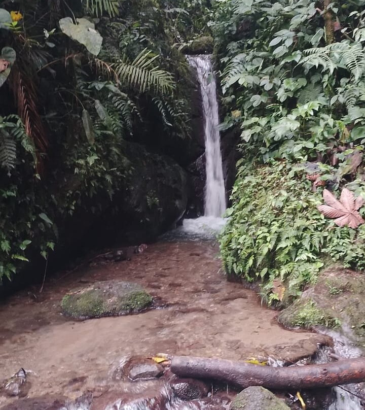 Las Montañas En Mindo-明多必去景点