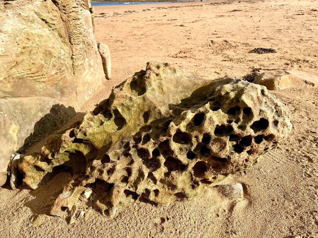 Kingsbarns Beach景点图片