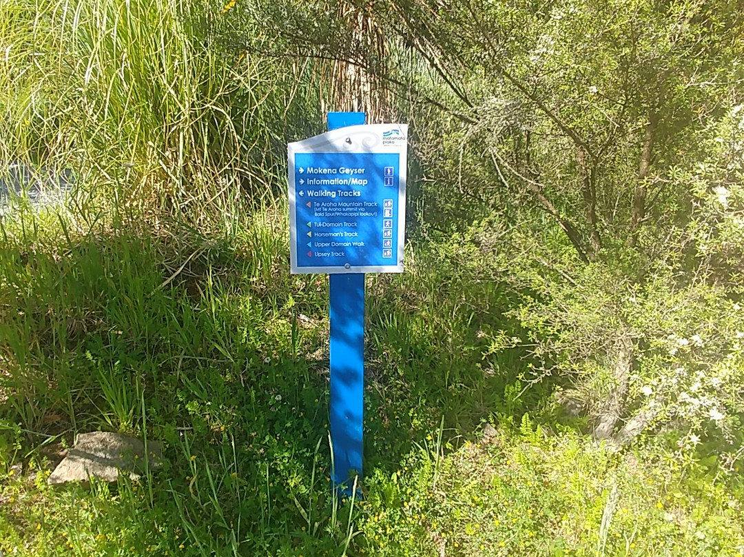 Te Aroha Domain景点图片