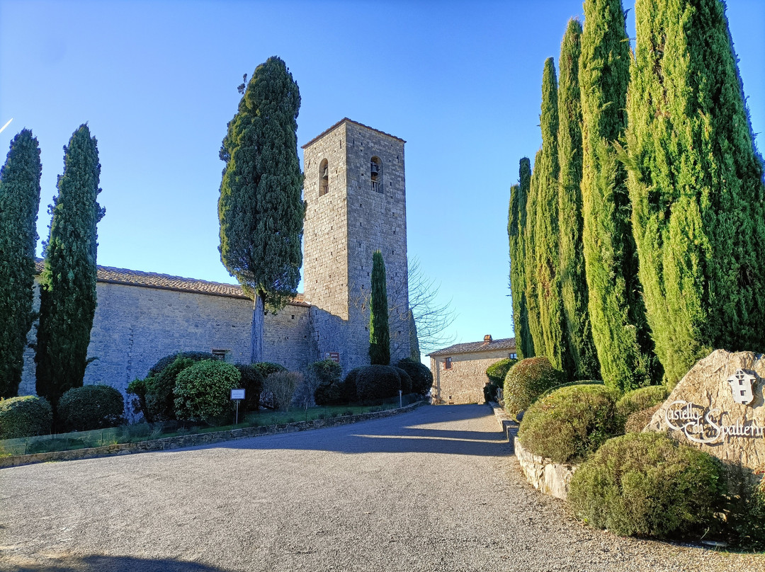Pieve di Santa Maria a Spaltenna景点图片