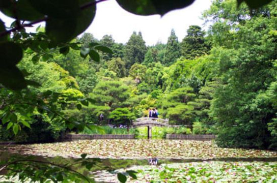 龙安寺-京都市必去景点