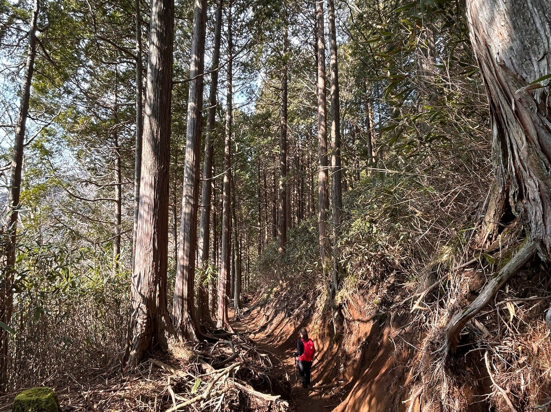 Mt. Kintoki-箱根町必去景点