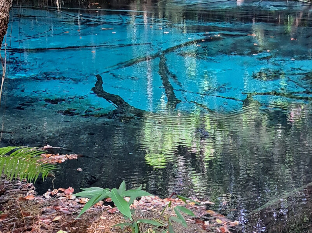 Blue Pool Krabi景点图片