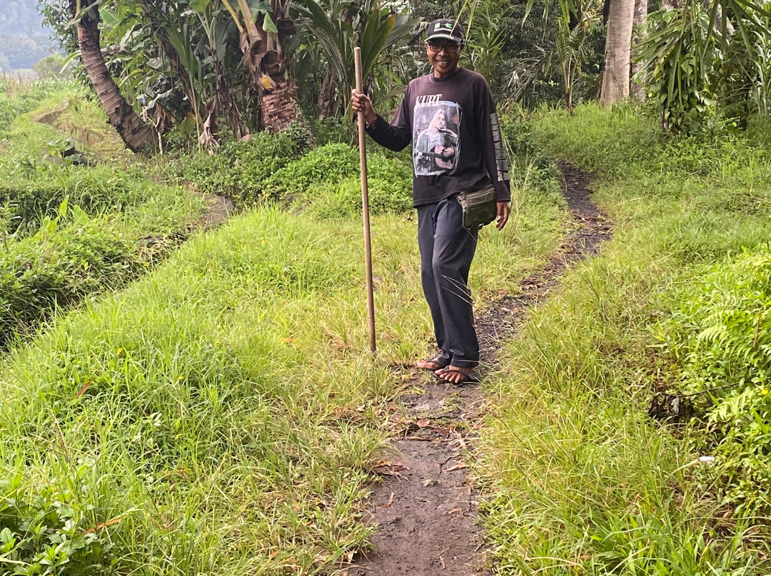 Nyoman's Eco Tours, Sidemen景点图片