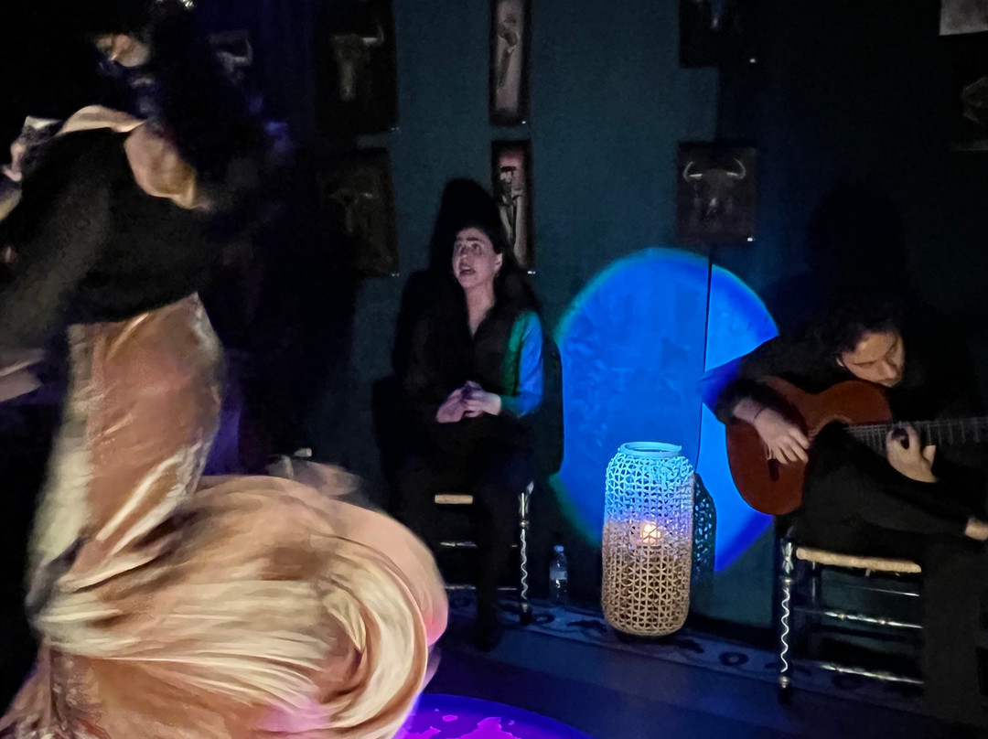 Tablao Flamenco Azahar景点图片