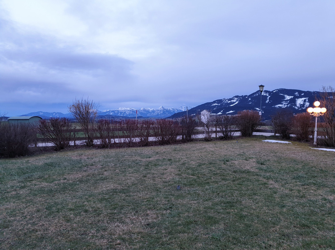 Wellnesshotel Mittelburg Allgäu主图