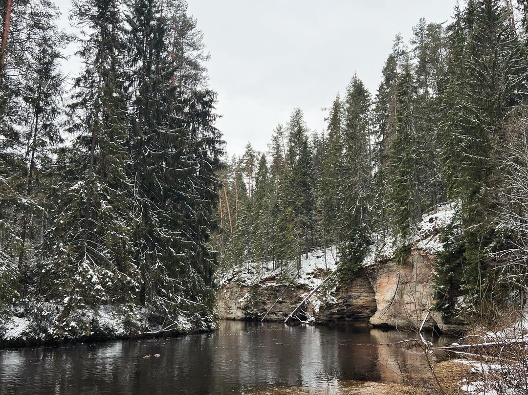 Taevaskoja Nature Trail-Polva必去景点