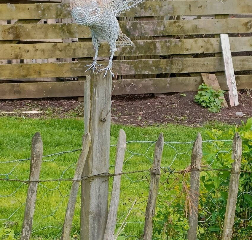 Stillingfleet Lodge Gardens景点图片