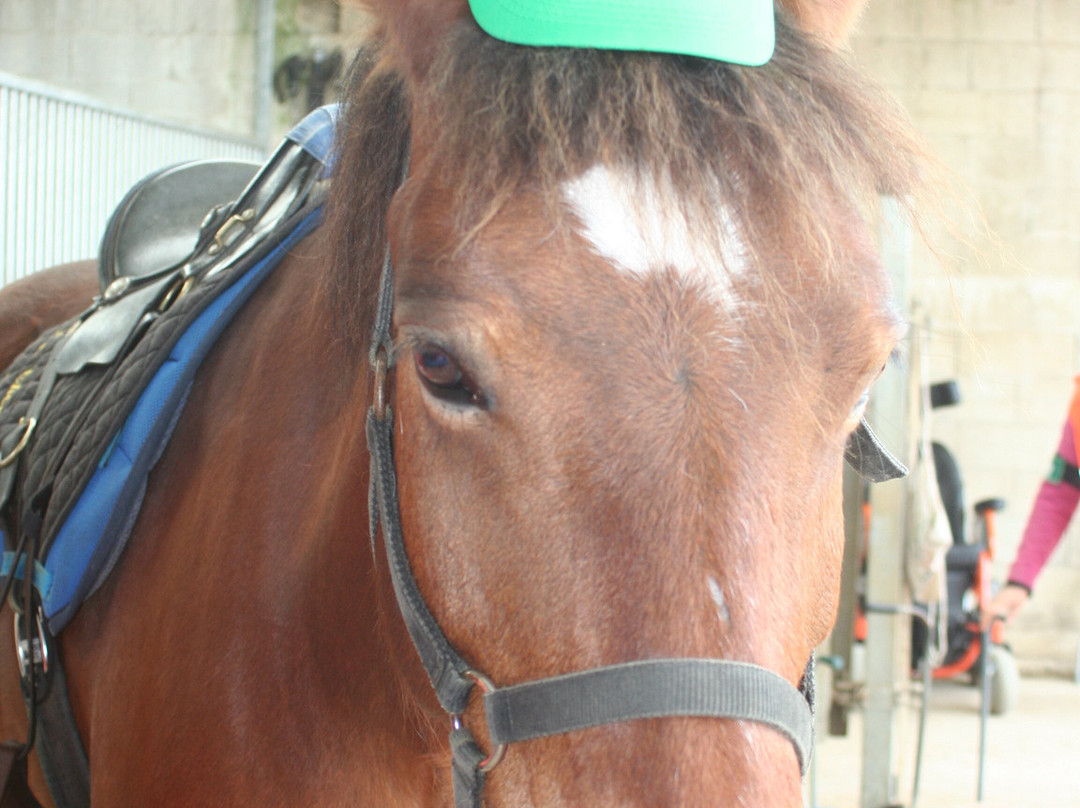 Ferme Equestre de la Chenaie-Givonne必去景点