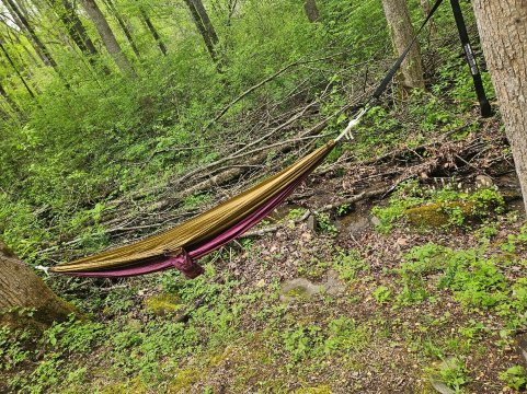 The Heart Center-官方