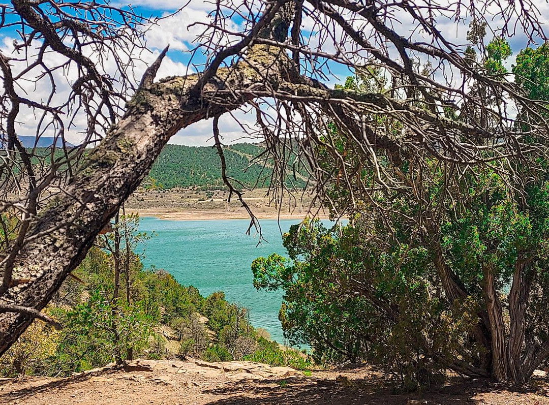 Trinidad Lake State Park景点图片