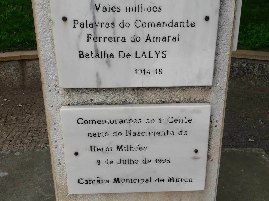 Busto Do Soldado Milhões景点图片