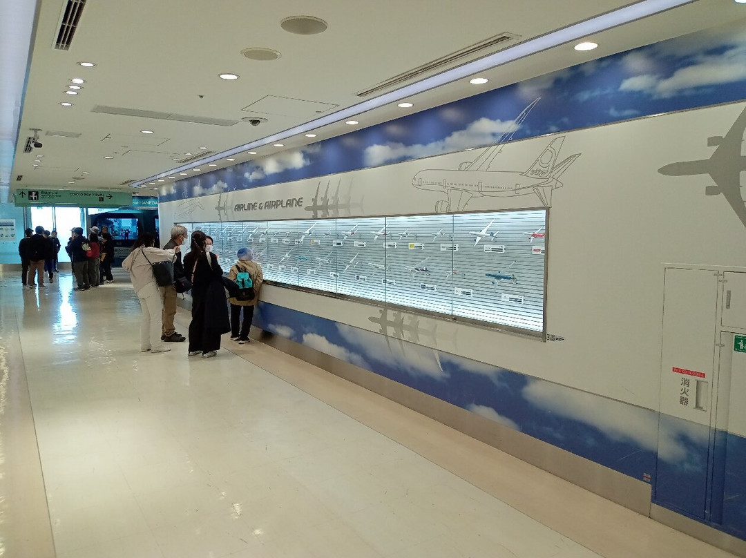 Tiat Sky Road-大田区必去景点