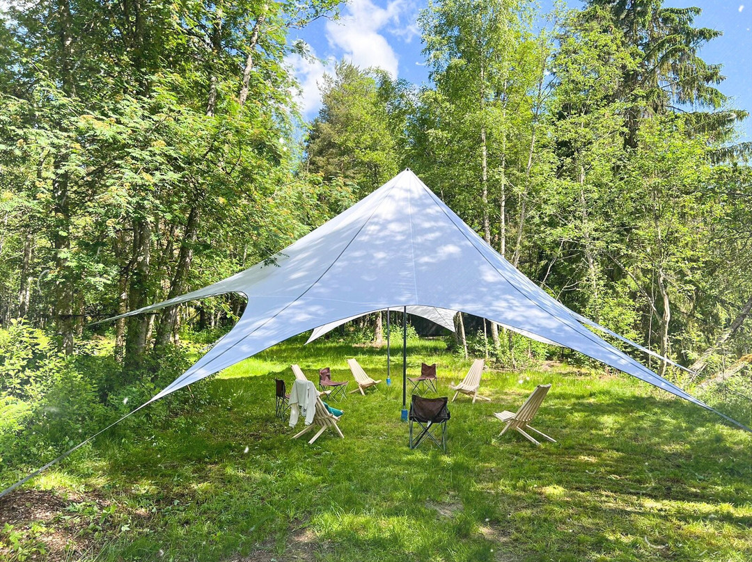 Balance Camp