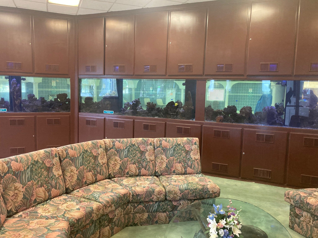 大西洋海岸希洛套房酒店主图