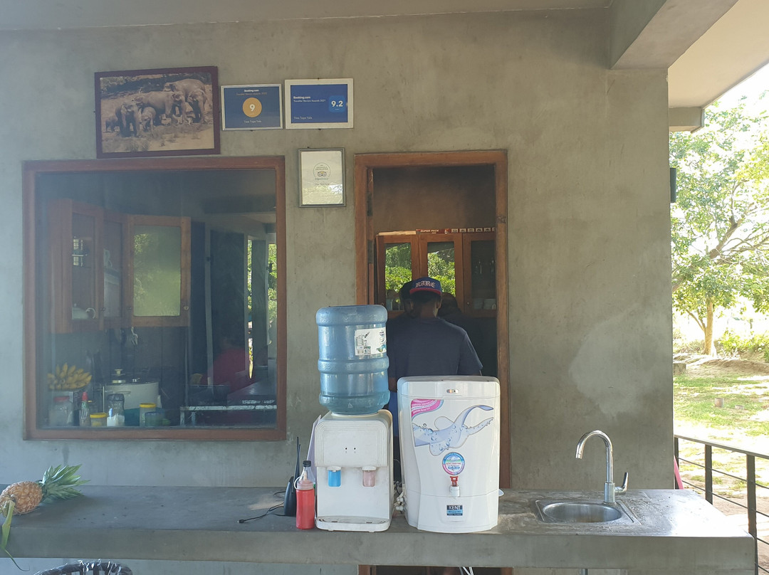 Tree Tops Yala主图