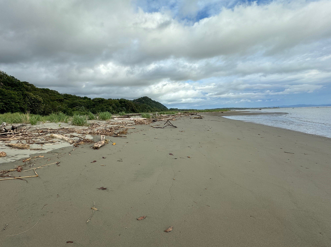 Playa Tortuga景点图片