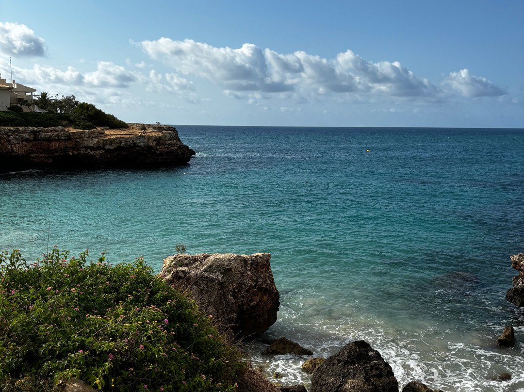 Eco Island Adventure