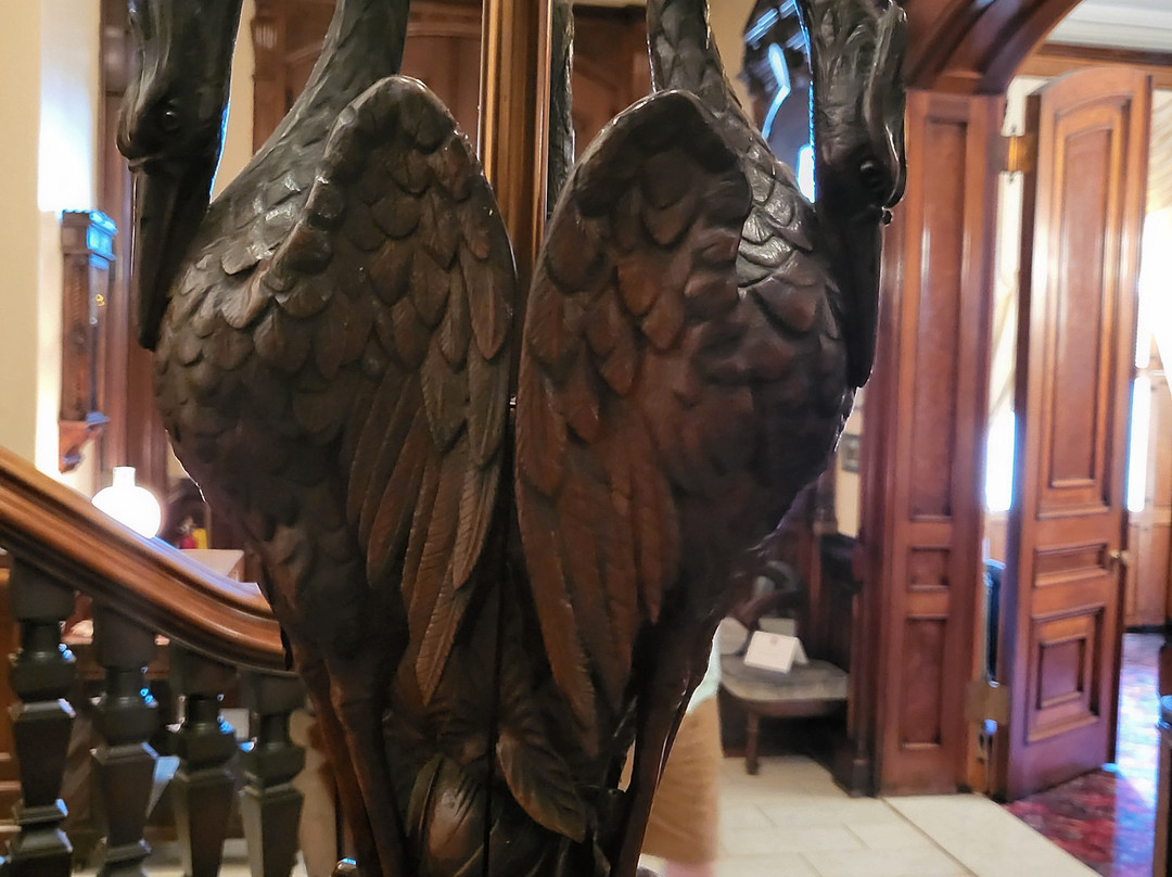 Phelps Mansion Museum景点图片