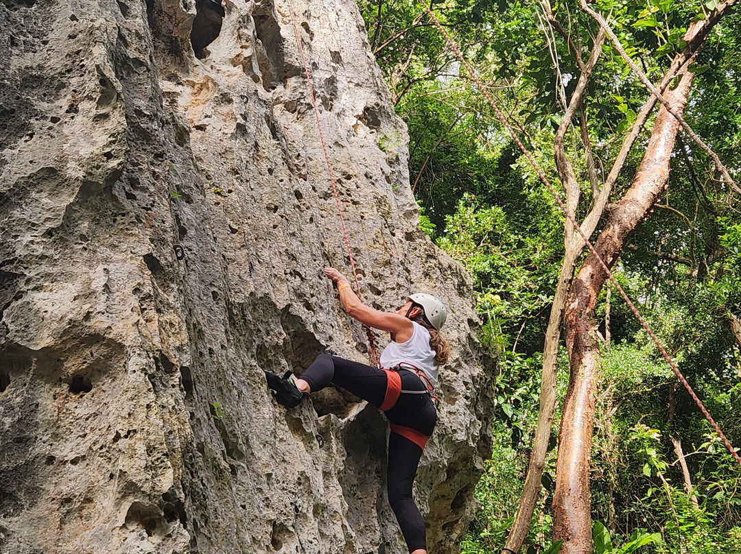 Roca Norte Outdoor Climbing Gym-Vega Baja必去景点
