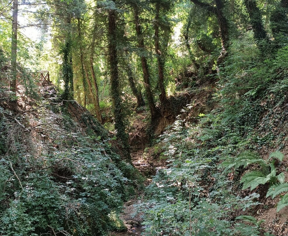 Hidden Garden with Waterfalls景点图片