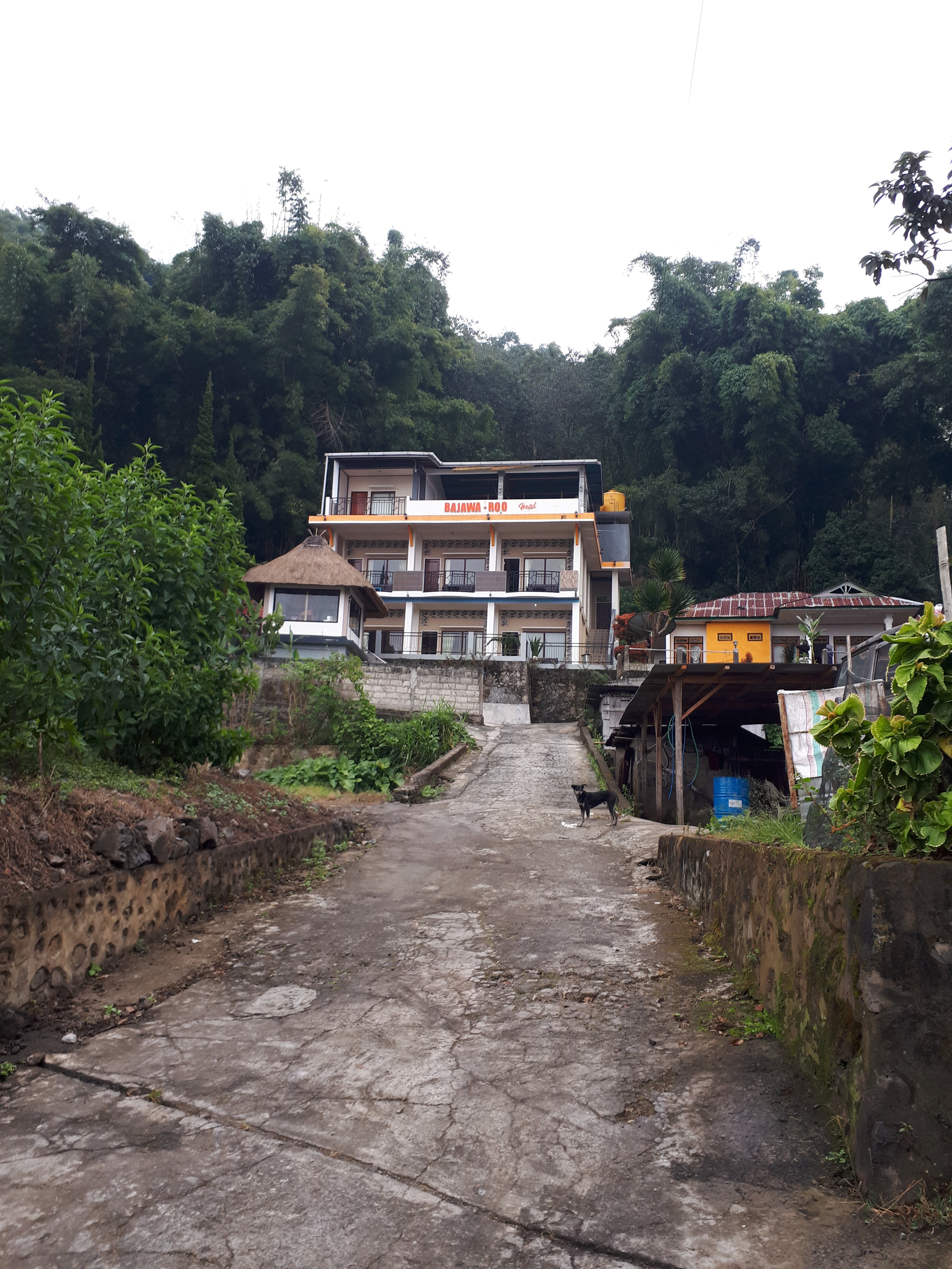 Bajawa Roo Hotel-浴室