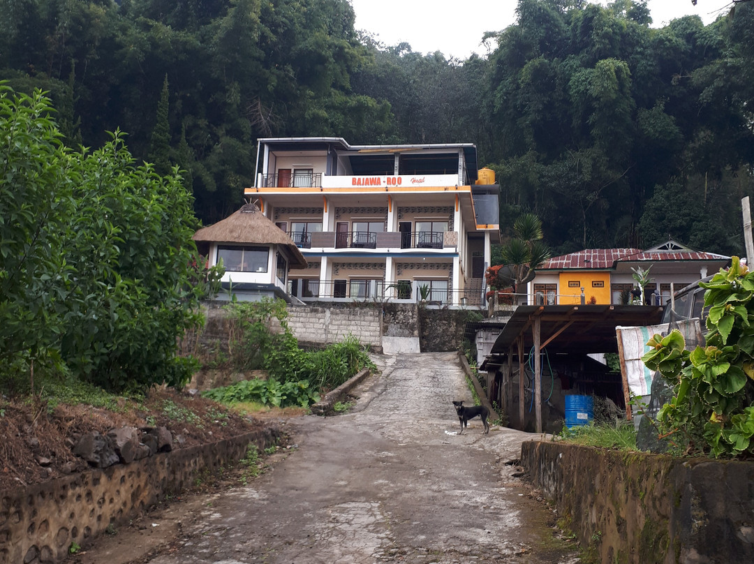 Bajawa Roo Hotel主图