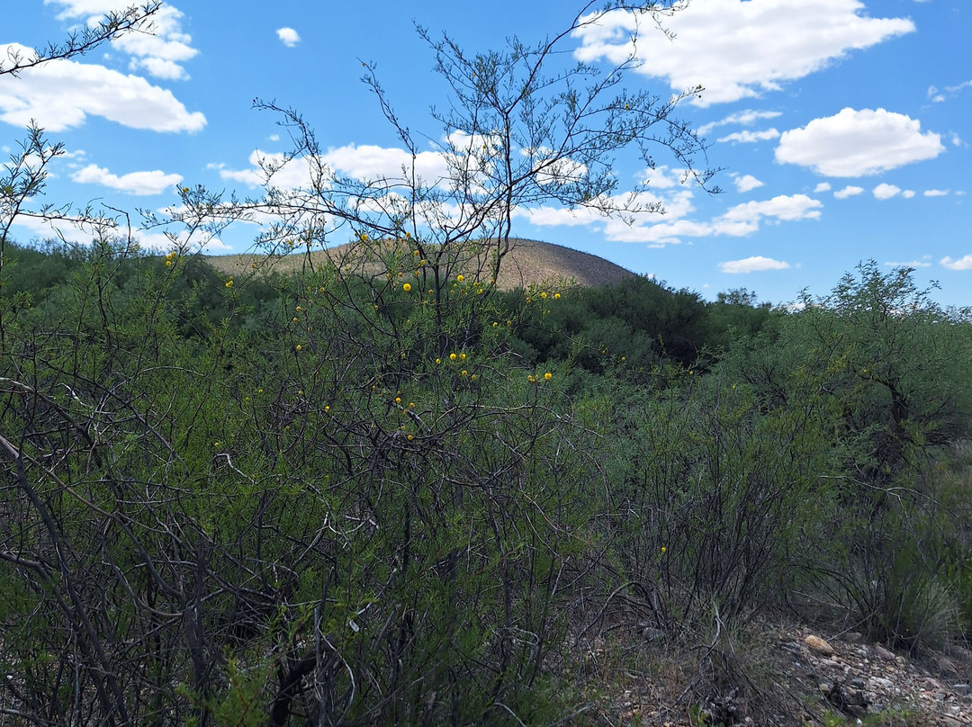 Millville Historic Townsite and Rock Art Discovery Trail景点图片