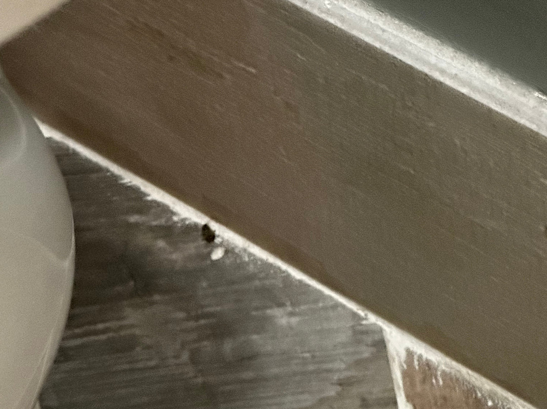 The Crossroads Motel主图