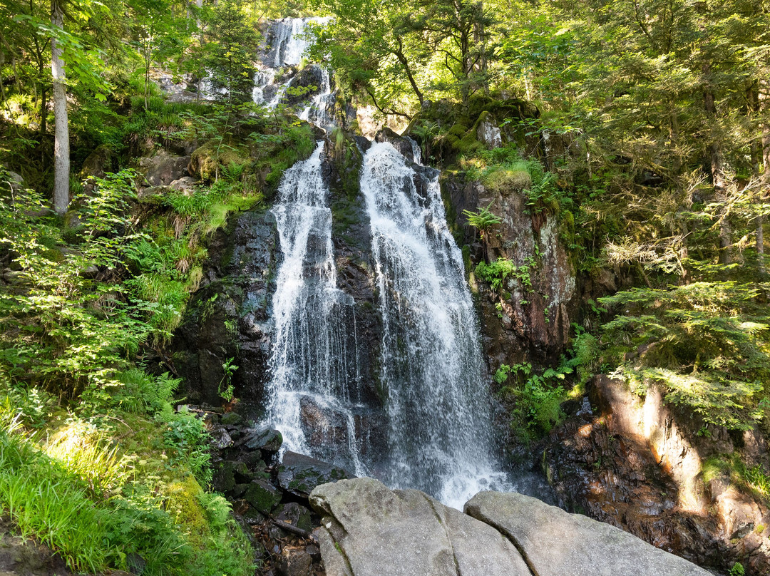 Grande Cascade de Tendon景点图片