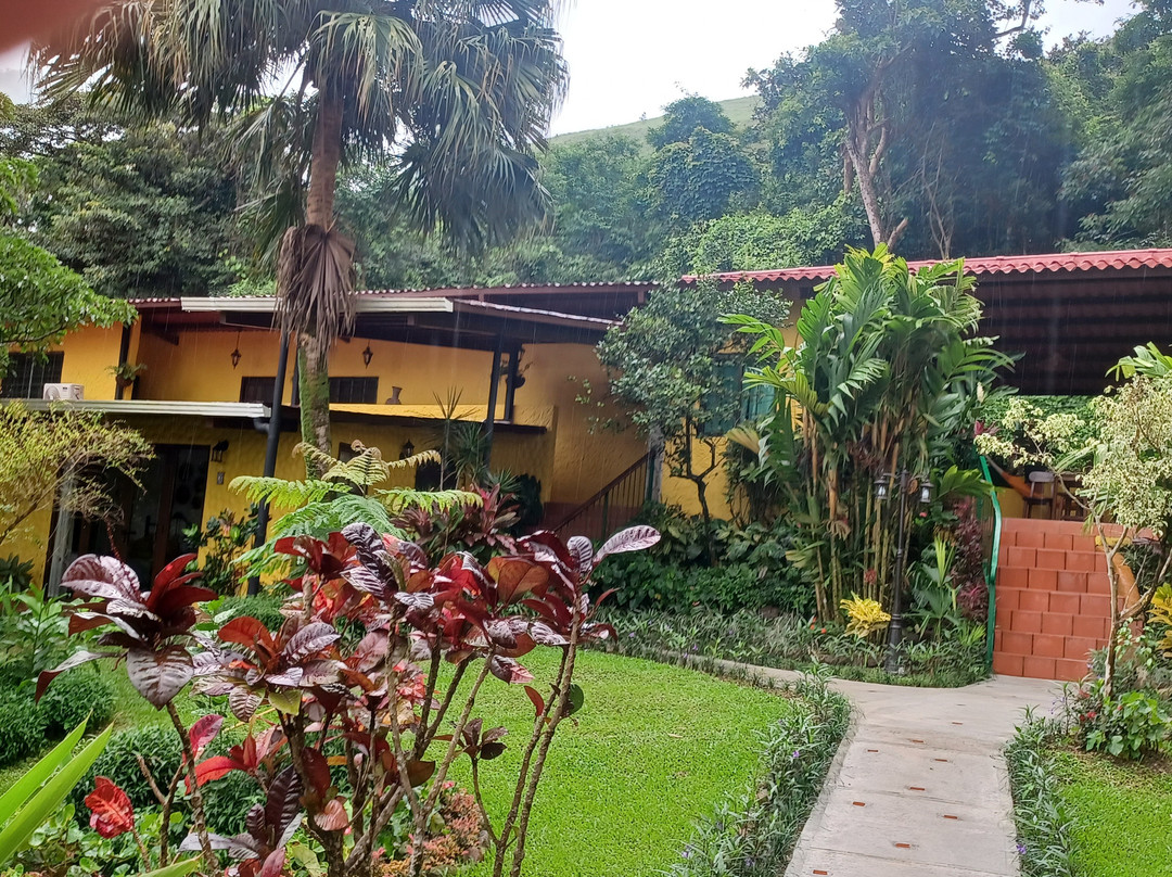 The Golden Frog Inn主图