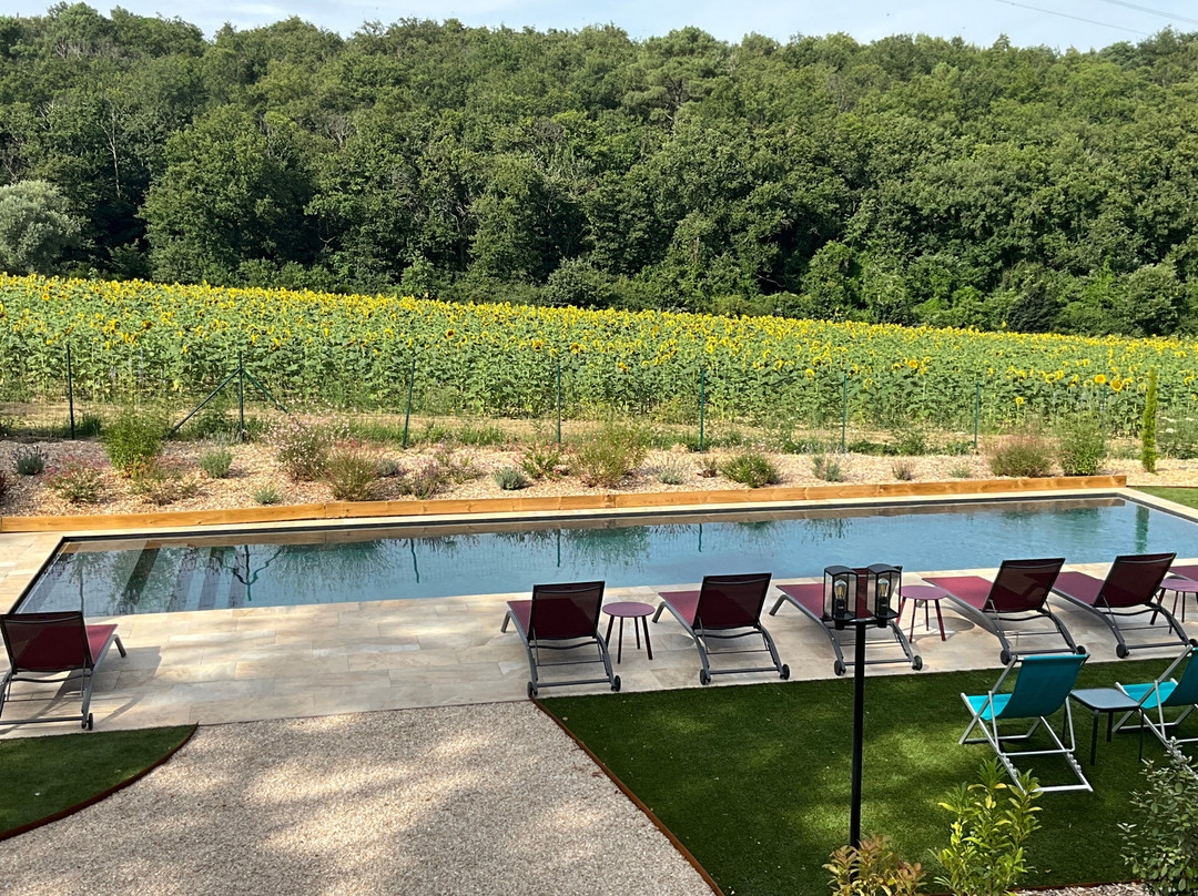 Sans Souci Bed and Breakfast主图