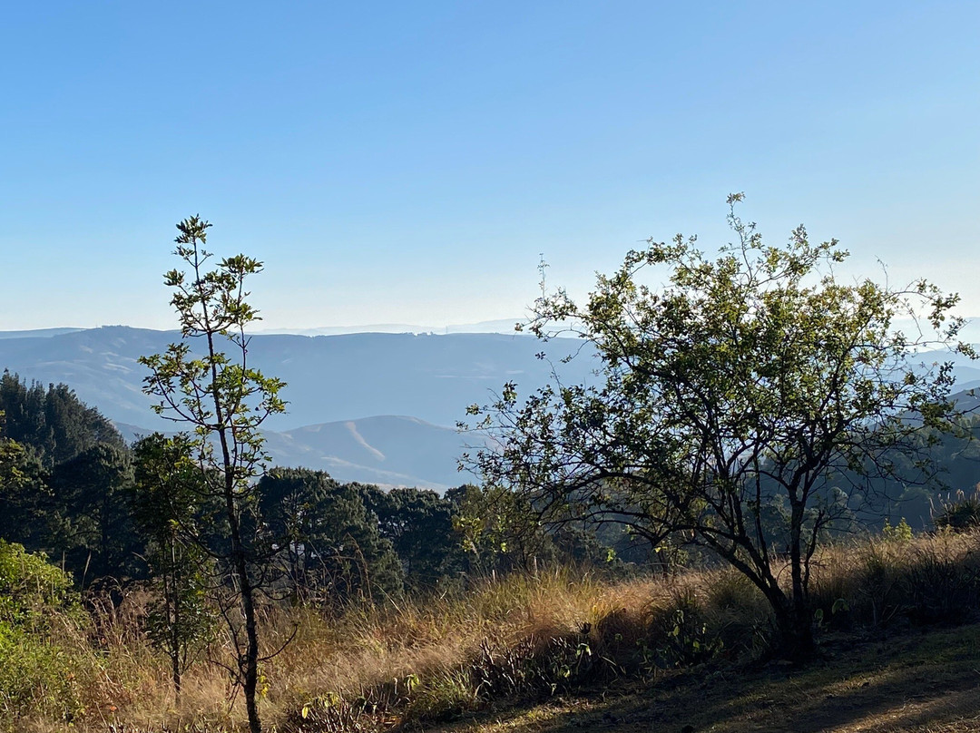 The Buddhist Retreat Centre景点图片