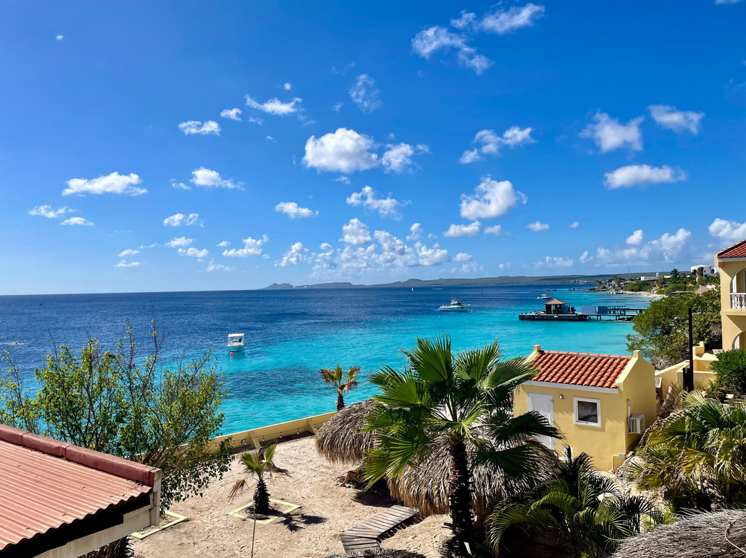 Buddy Dive Resort主图