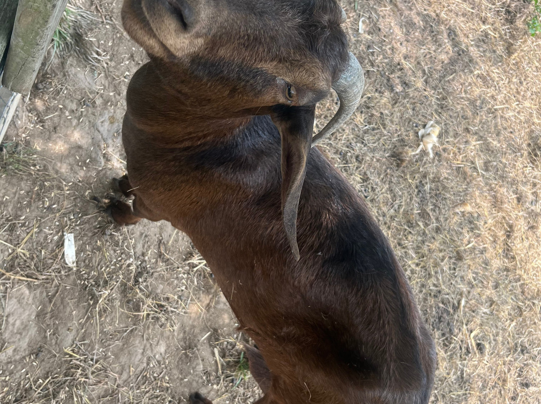 Weston Red Barn Farm-Weston必去景点