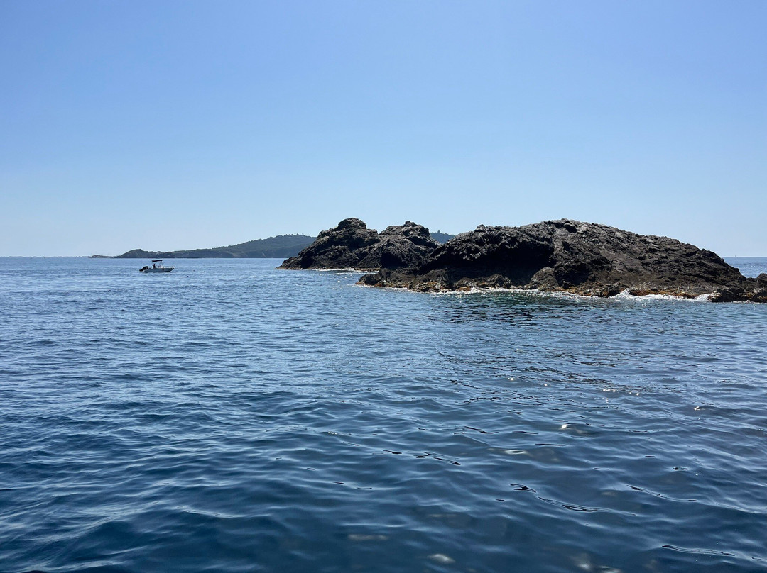 O2 Plongée-Carqueiranne必去景点