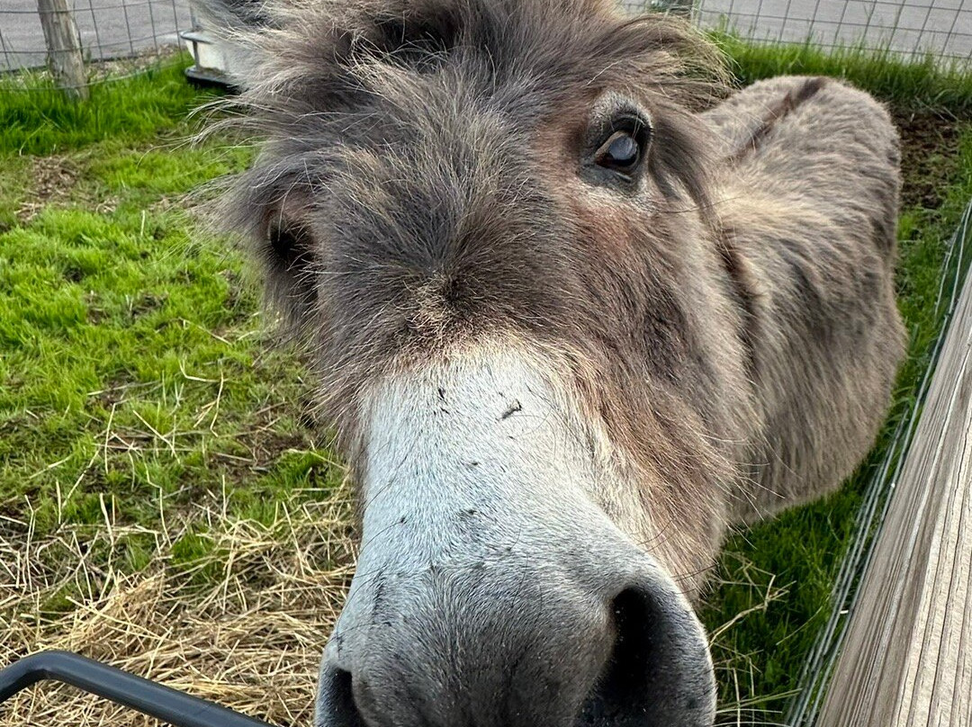 Doc's Zoo-Bonduel必去景点