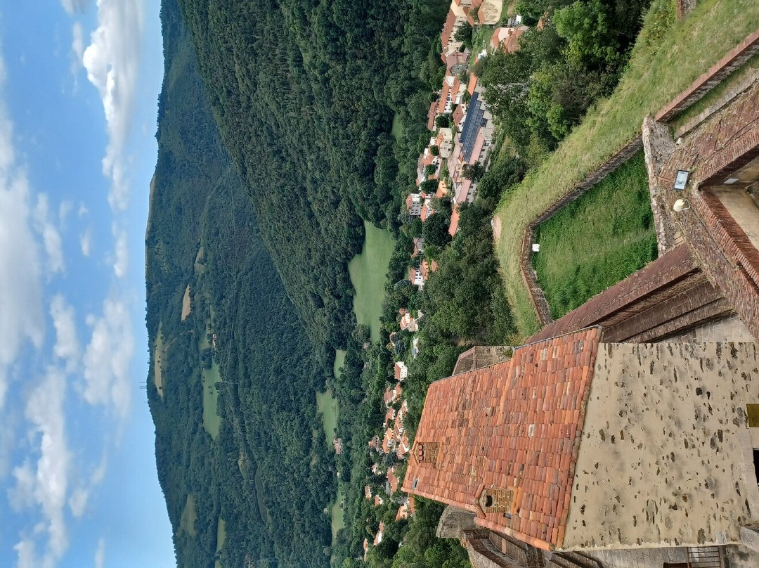 Fort Lagarde-Prats de Mollo la Preste必去景点