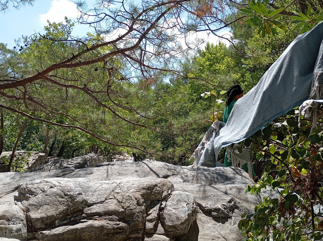 Hasanboguldu Selalesi-Zeytinli必去景点