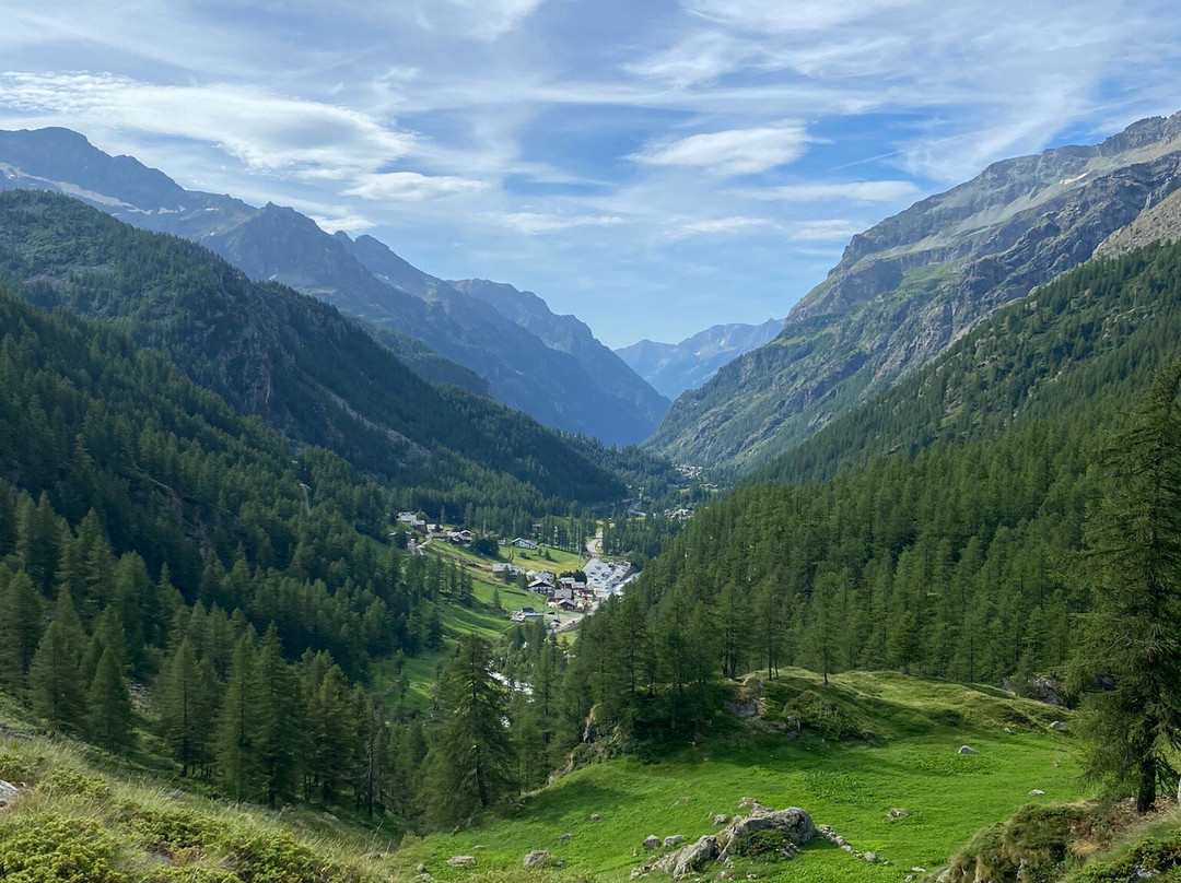 Sorgenti del Lys景点图片
