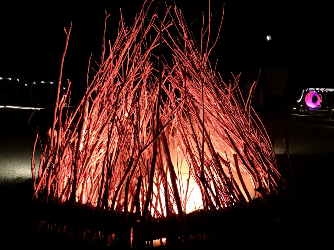 L'oiseau Mécanique-Petite-Riviere-Saint-Francois必去景点